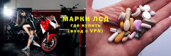 прущие грибы Кемь