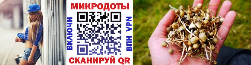 Псилоцибиновые грибы мухоморы  закладки  гидра ссылка  Павловская 